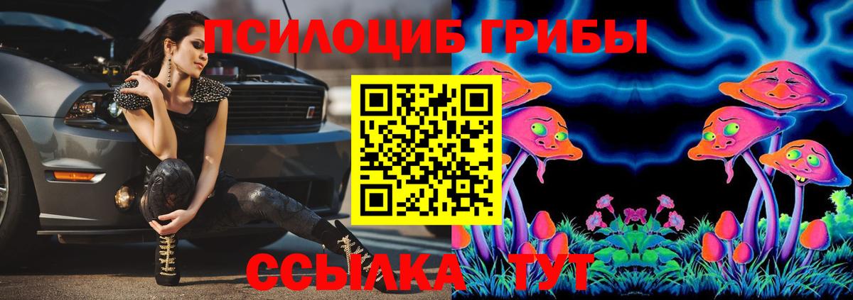 Галлюциногенные грибы мухоморы  Псилоцибиновые грибы мицелий  закладки  Вход с VPN  Кизилюрт 